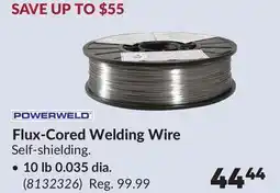 Princess Auto 10 lb 0.035 dia. Flux-Cored Welding Wire offer