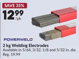 Princess Auto 2 kg Welding Electrodes offer
