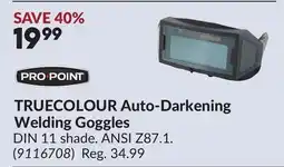 Princess Auto TRUECOLOUR Auto-Darkening Welding Goggles offer