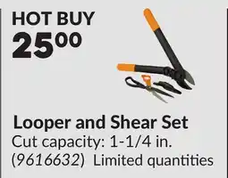 Princess Auto Looper and Shear Set offer