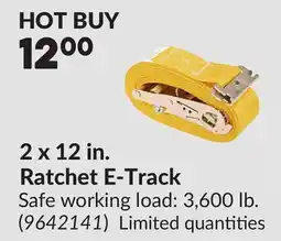 Princess Auto 2 x 12 in. Ratchet E-Track offer