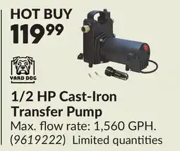 Princess Auto 1/2 HP Cast-Iron Transfer Pump offer