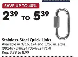 Princess Auto Stainless-Steel Quick Links offer