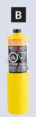 Princess Auto Gas Cylinders offer