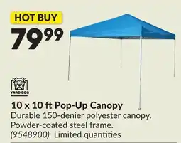Princess Auto 10 x 10 ft Pop-Up Canopy offer