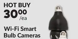 Princess Auto Black Wi-Fi Smart Bulb Cameras offer