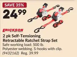 Princess Auto ERICKSON 2 pk Self-Tensioning Retractable Ratchet Strap Set offer
