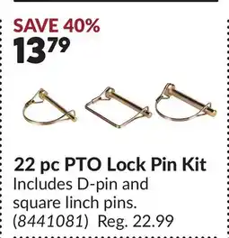 Princess Auto 22 pc PTO Lock Pin Kit offer