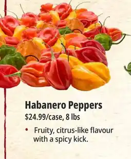 Farm Boy Habanero Peppers offer