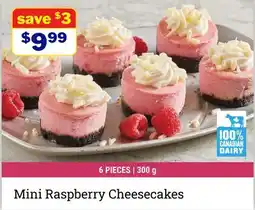 M & M Food Market Mini Raspberry Cheesecakes offer