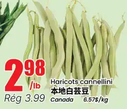 Btrust Supermarket Haricots cannellini offer