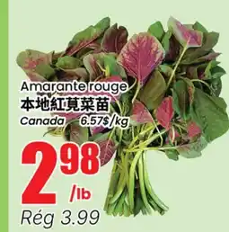 Btrust Supermarket Amarante rouge offer