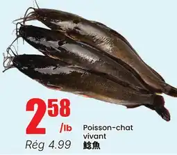 Btrust Supermarket Poisson-chat vivant offer