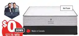 The Brick Scott Living Ashford TT Queen Mattress offer