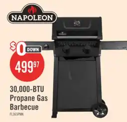 The Brick Napoleon 365 30,000-BTU 2-Burner Propane Gas Grill - FL365PMK-1 offer