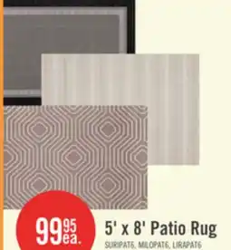 The Brick 5' x 8' Patio Rug offer