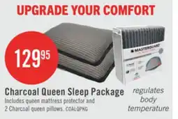 The Brick Masterguard Charcoal Queen Mattress Protector with 2 Queen Pillows offer