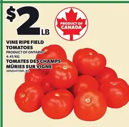 Independent City Market VINE RIPE FIELD TOMATOES offer
