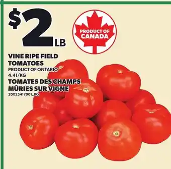Independent City Market VINE RIPE FIELD TOMATOES offer