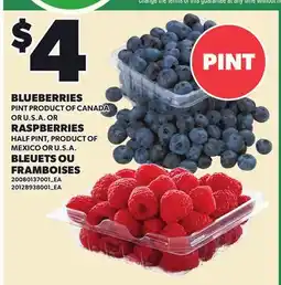 Independent City Market BLUEBERRIES, PINT OR RASPBERRIES, HALF PINT offer