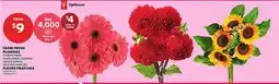 Independent City Market FARM FRESH FLOWERS offer