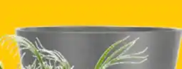 JYSK HVEPS Garden planter, plastic offer