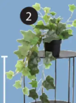 JYSK IVE Artificial ivy plant offer