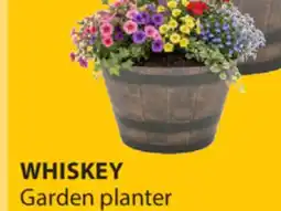 JYSK WHISKEY Garden planter offer
