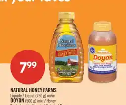 Pharmaprix NATURAL HONEY FARMS Liquid (750 g) or DOYON (500 g) Honey offer