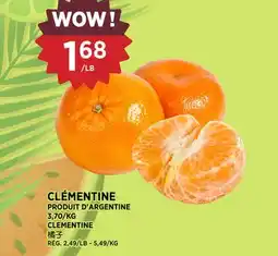Kim Phat CLEMENTINE offer