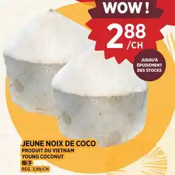 Kim Phat YOUNG COCONUT offer