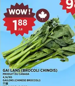 Kim Phat GAI LANS (BROCOLI CHINOIS) offer