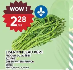 Kim Phat GREEN WATER SPINACH offer