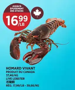 Kim Phat LIVE LOBSTER offer