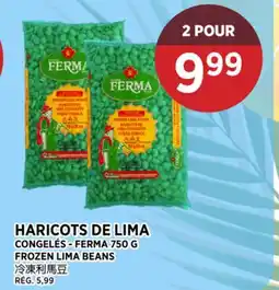Kim Phat FERMA FROZEN LIMA BEANS offer