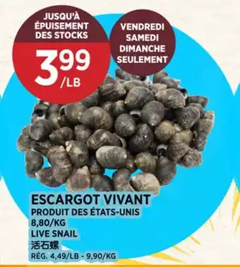 Kim Phat LIVE SNAIL offer