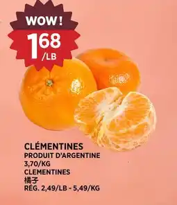 Kim Phat CLEMENTINES offer