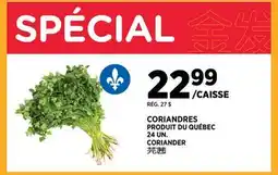 Kim Phat CORIANDER offer