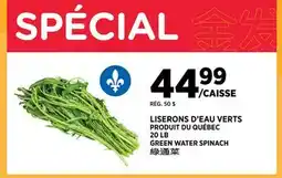 Kim Phat GREEN WATER SPINACH offer