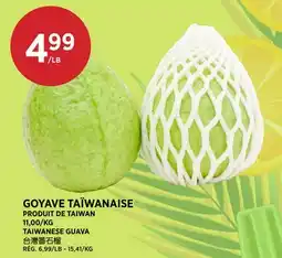 Kim Phat TAIWANESE GUAVA offer