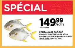 Kim Phat OCEAN MAMA 40 LB FROZEN GOLDEN POMPANO offer