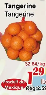 Marche C&T Tangerine offer