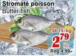 Marche C&T Stromaté poisson offer