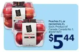 Walmart Peaches 3 L or Nectarines 2 L offer