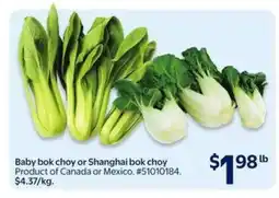Walmart Baby Bok Choy or Shanghai Bok Choy offer