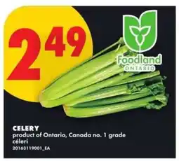 No Frills CELERY offer