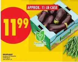 No Frills EGGPLANT offer