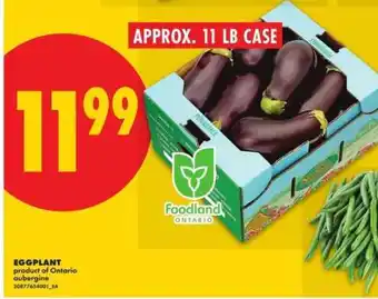 No Frills EGGPLANT offer