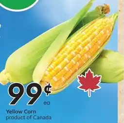 Sobeys Yellow Corn offer