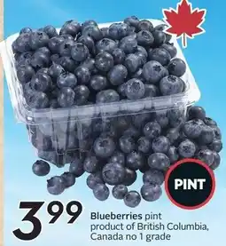 Sobeys Blueberries offer